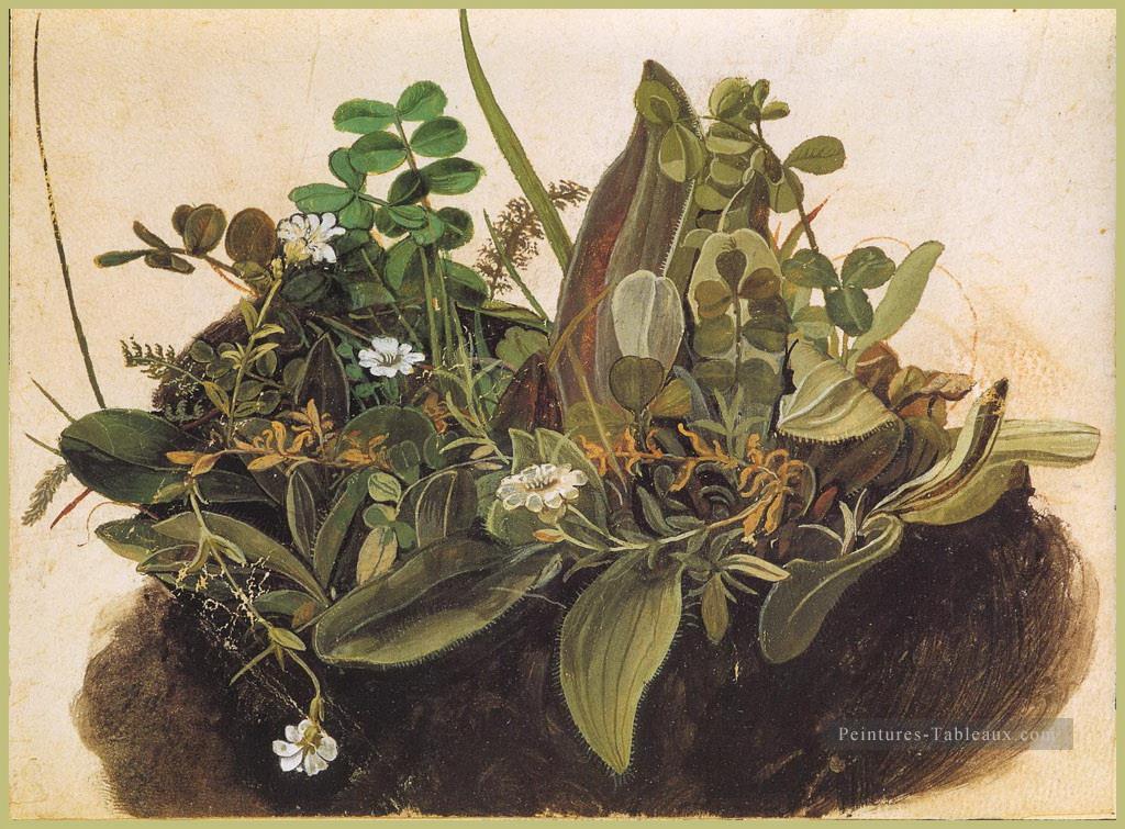 La touffe d’herbe MINOR Albrecht Dürer classique fleurs Peintures à l'huile